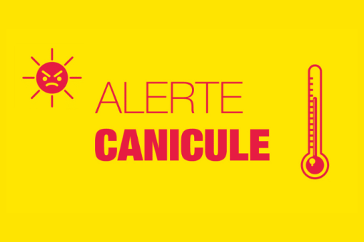 Canicule et activités culturelles